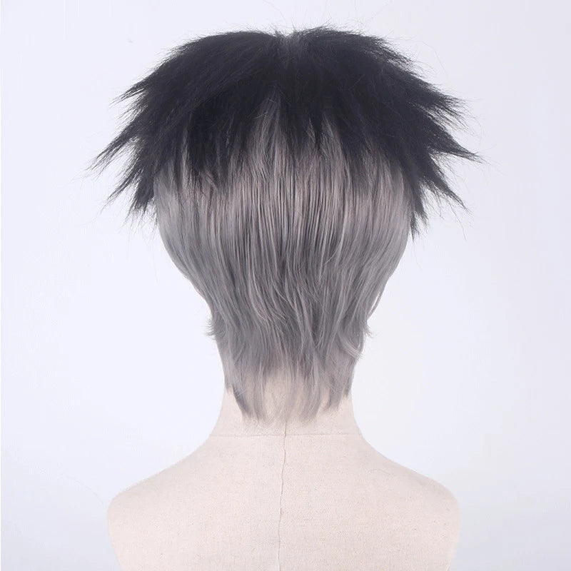 Gyomei Himejima Cosplay Demon Slayer Anime Wig